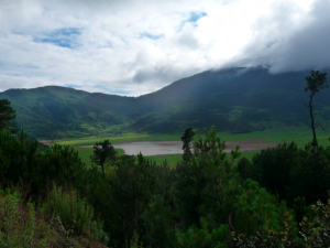 Wenhai Exped